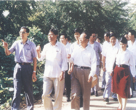 原全國政協副主席谷牧到郯城視察銀杏